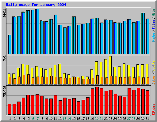 Daily usage for January 2024