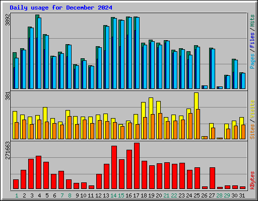 Daily usage for December 2024