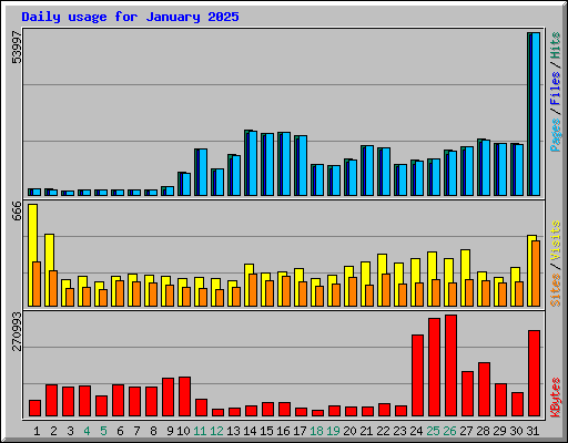 Daily usage for January 2025