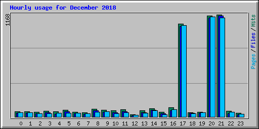 Hourly usage for December 2018