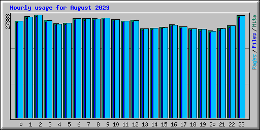 Hourly usage for August 2023