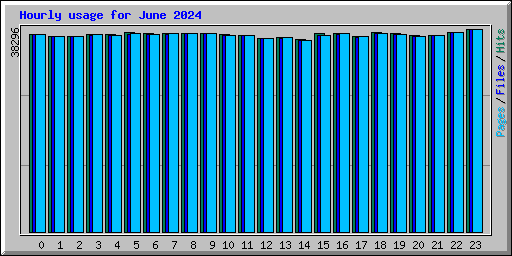 Hourly usage for June 2024