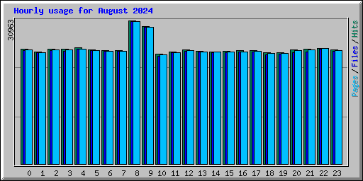 Hourly usage for August 2024