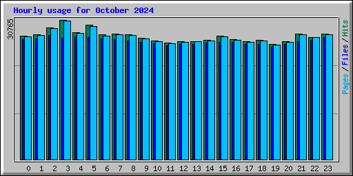 Hourly usage for October 2024