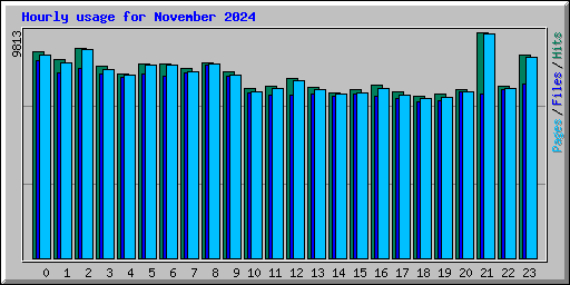 Hourly usage for November 2024