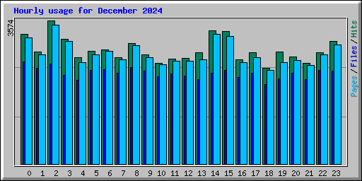 Hourly usage for December 2024