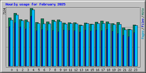 Hourly usage for February 2025