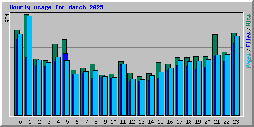 Hourly usage for March 2025