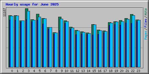 Hourly usage for June 2025