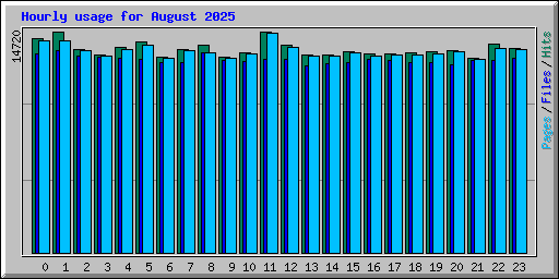 Hourly usage for August 2025