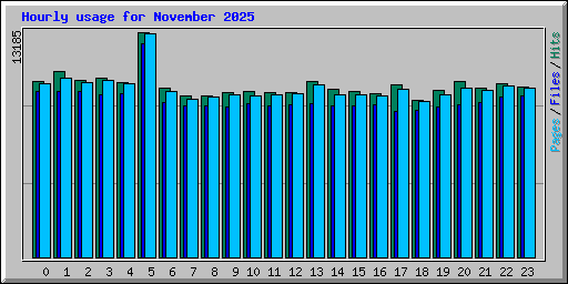 Hourly usage for November 2025