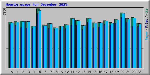 Hourly usage for December 2025