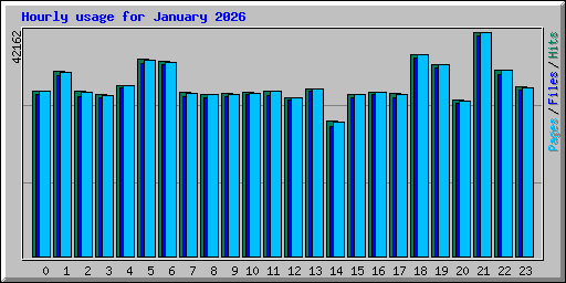 Hourly usage for January 2026