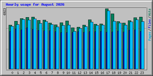 Hourly usage for August 2026